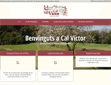 Tablet Screenshot of calvictor.com